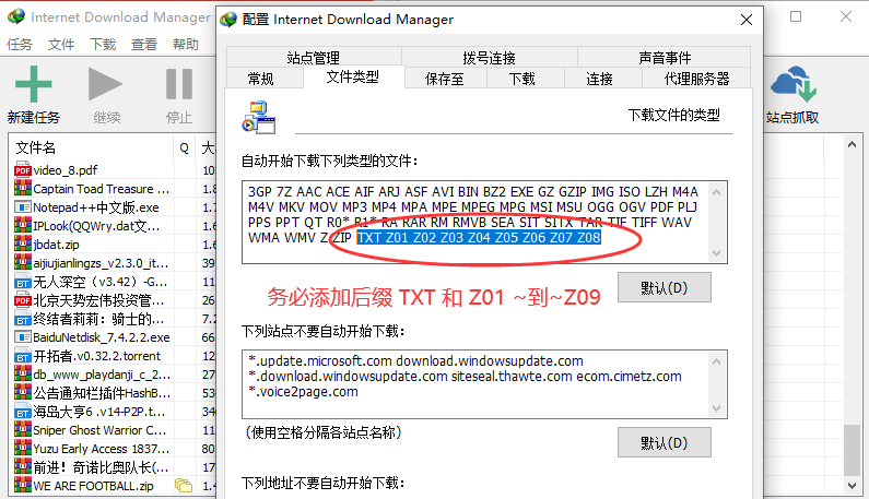 图片[10]-如何使用IDM不限速下载（以及问题解决）-YHgame