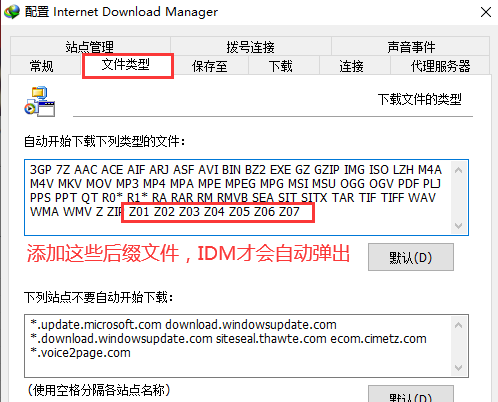 图片[14]-如何使用IDM不限速下载（以及问题解决）-YHgame